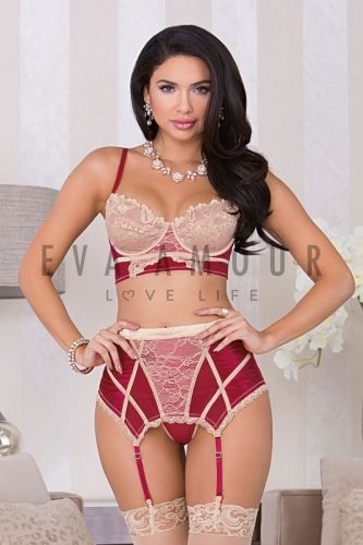 iCollection Jacquard Mesh and Lace Microfiber 3 Piece Set